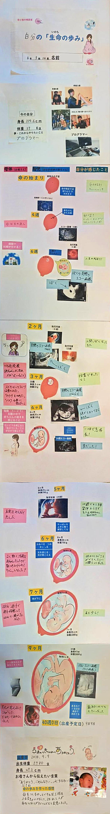 生命の歩み